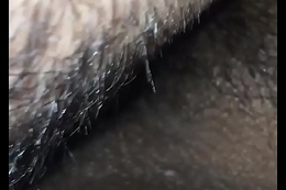 Licking my cousins hairy pussy